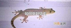 如何驱赶壁虎