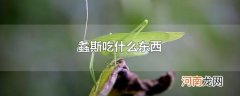 螽斯吃什么东西
