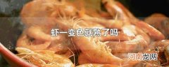 虾一变色就熟了吗