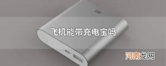 飞机能带充电宝吗