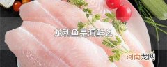 龙利鱼是海鲜么