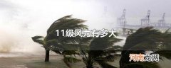 11级风力有多大