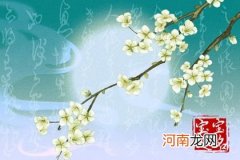 23年9月22日八月初八出生女生生辰八字 有福气的名字