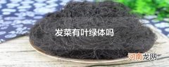 发菜有叶绿体吗