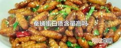 蚕蛹蛋白质含量高吗