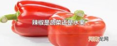 辣椒是蔬菜还是水果