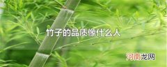 竹子的品质像什么人