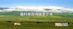 桑科草原海拔多少米