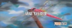 蜻蜓飞行原理
