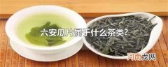 六安瓜片属于什么茶类?