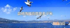 昆明海拔高度是多少米