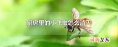 厨房里的小飞虫怎么消灭