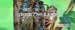 立秋的知了为什么不能吃
