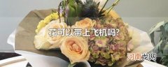 花可以带上飞机吗?