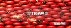 小西红柿的热量