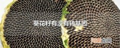 葵花籽有没有转基因