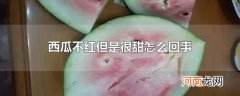 西瓜不红但是很甜怎么回事