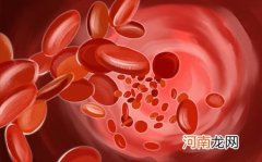 贫血可以吃什么食物