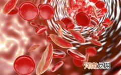 贫血人群多吃哪些食物