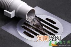 卫生间反味跟风向有关系吗