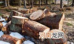 木头一般刷什么漆什么油