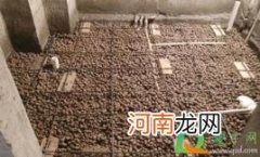 二次排水口回填时会不会堵住