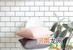 阳台墙砖掉了几块可用什么装饰