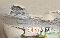 墙掉灰是没加胶水么