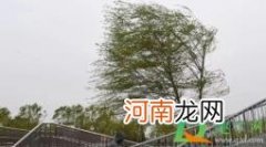 刮风窗户有口哨声怎么解决