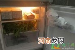 冰箱出现异响怎么回事