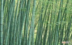 尿路感染的症状及治疗方法 尿路感染不吃药会好吗