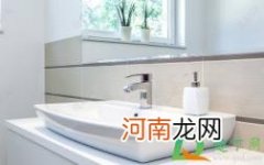 洗手台会跳的小黑虫哪里来的