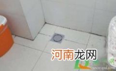 地漏反味怎么用什么方法