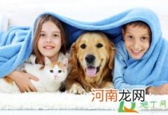 市面上的除甲醛喷雾有用吗