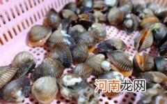 吃毛蚶会得甲肝吗