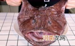 安康鱼的功效与作用