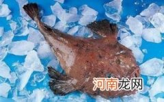 安康鱼可以做鱼丸吗