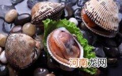 毛蚶的食用危害