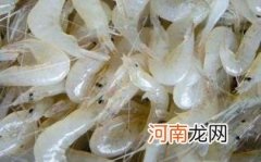 白虾是什么虾