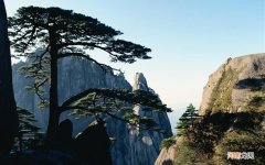 屁股酸痛怎么办 右腿麻木怎么治疗