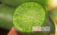 沙窝萝卜怎么做好吃