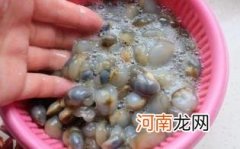 泥螺怎么做好吃