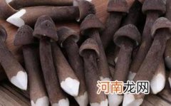 鸡枞菌怎么保存