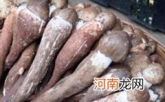 新鲜鸡枞菌的做法