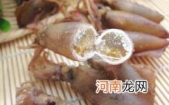 海兔的功效与作用