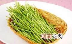 泥蒿的功效和作用