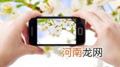 大冤种什么意思