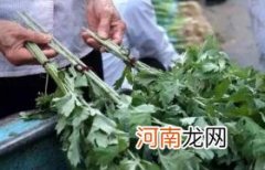新鲜艾叶怎么保存最好