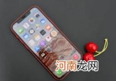 88会员618大额消费券可以买iPhone13吗