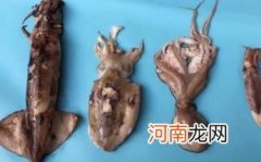 海兔怎么做好吃